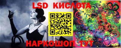 mdpv Кингисепп