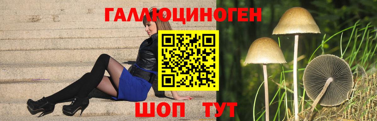 Галлюциногенные грибы прущие грибы Кунгур