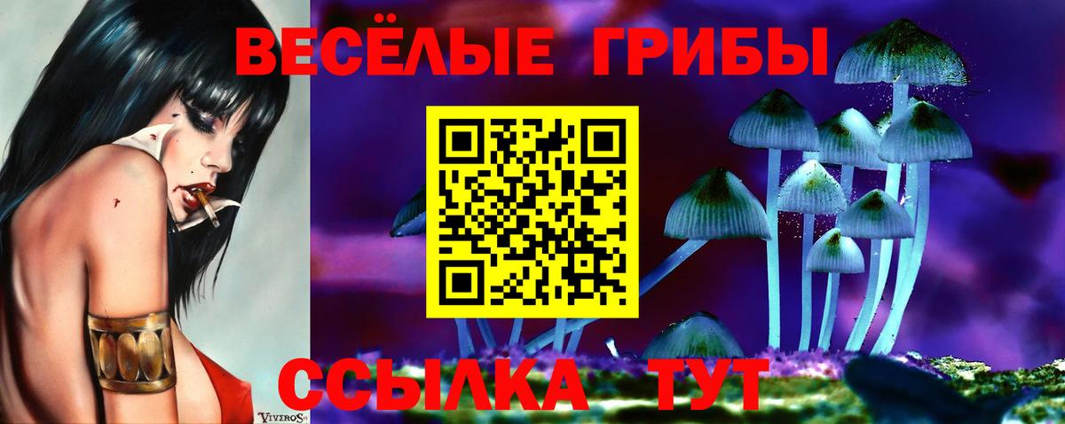 Кунгур  Псилоцибиновые грибы прущие грибы  Вход с VPN 